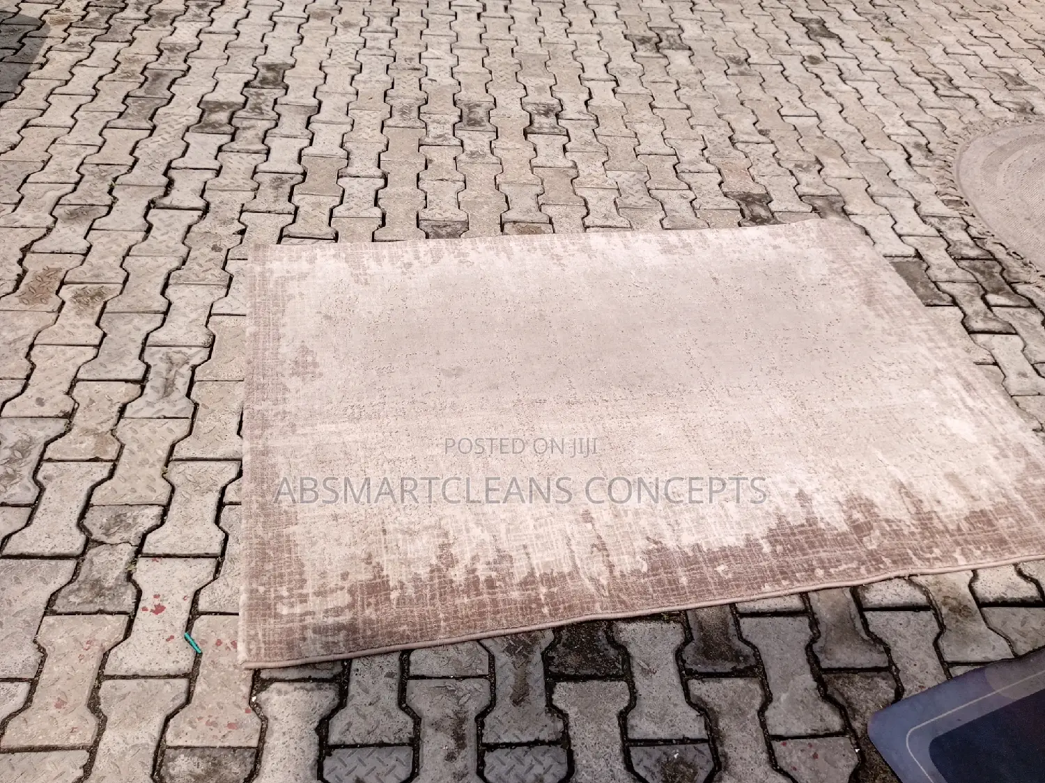 Rug Carpet Cleaning Services