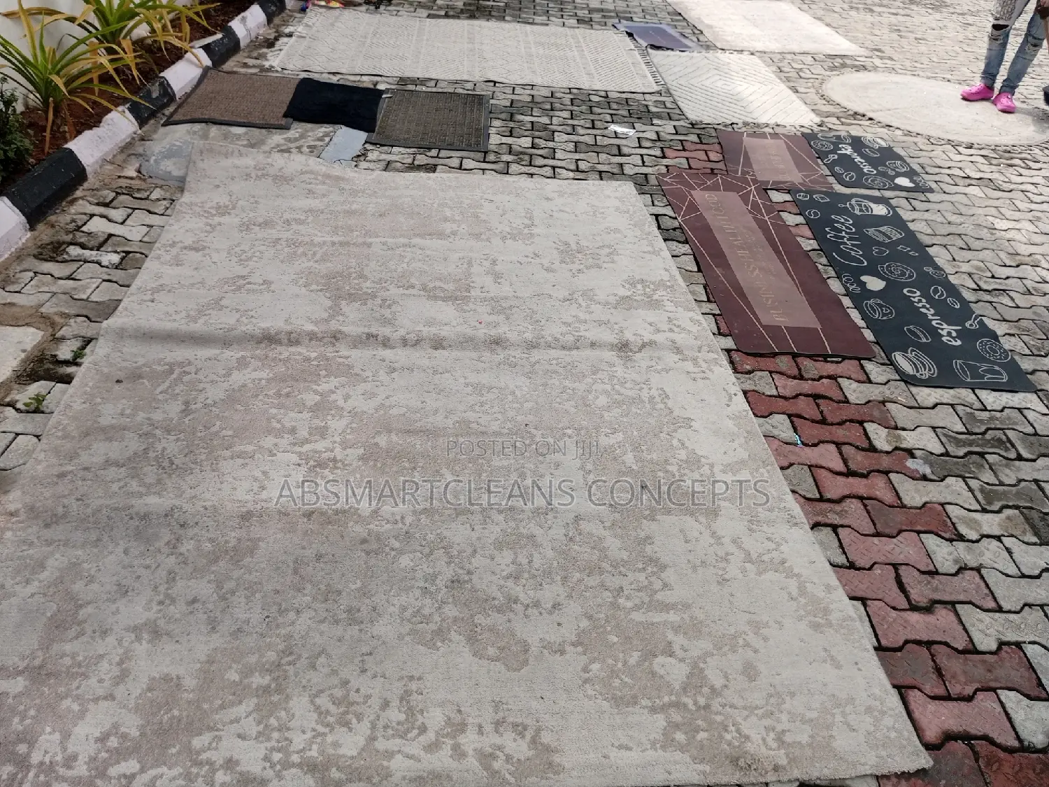 Rug Carpet Cleaning Services