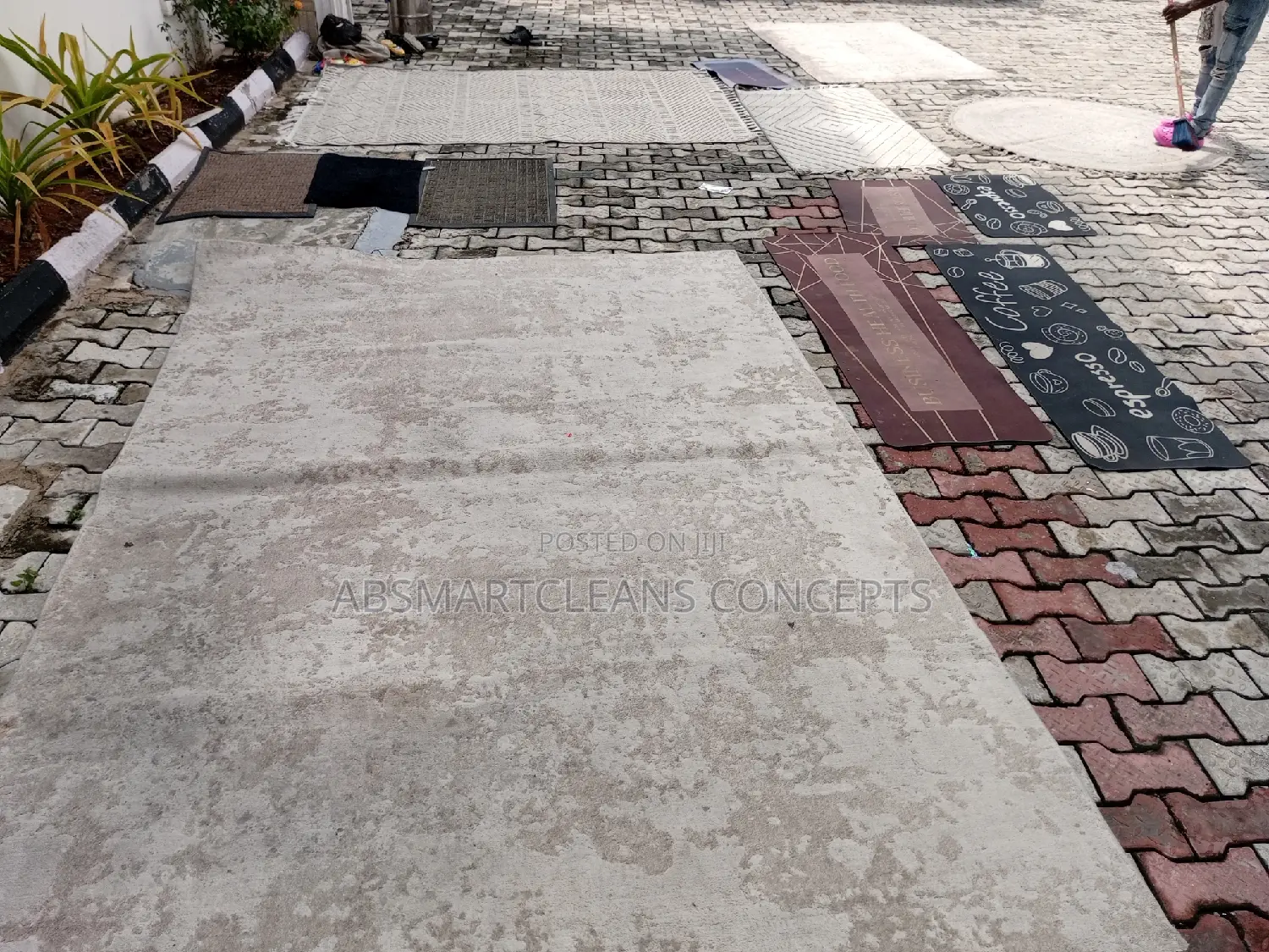 Rug Carpet Cleaning Services