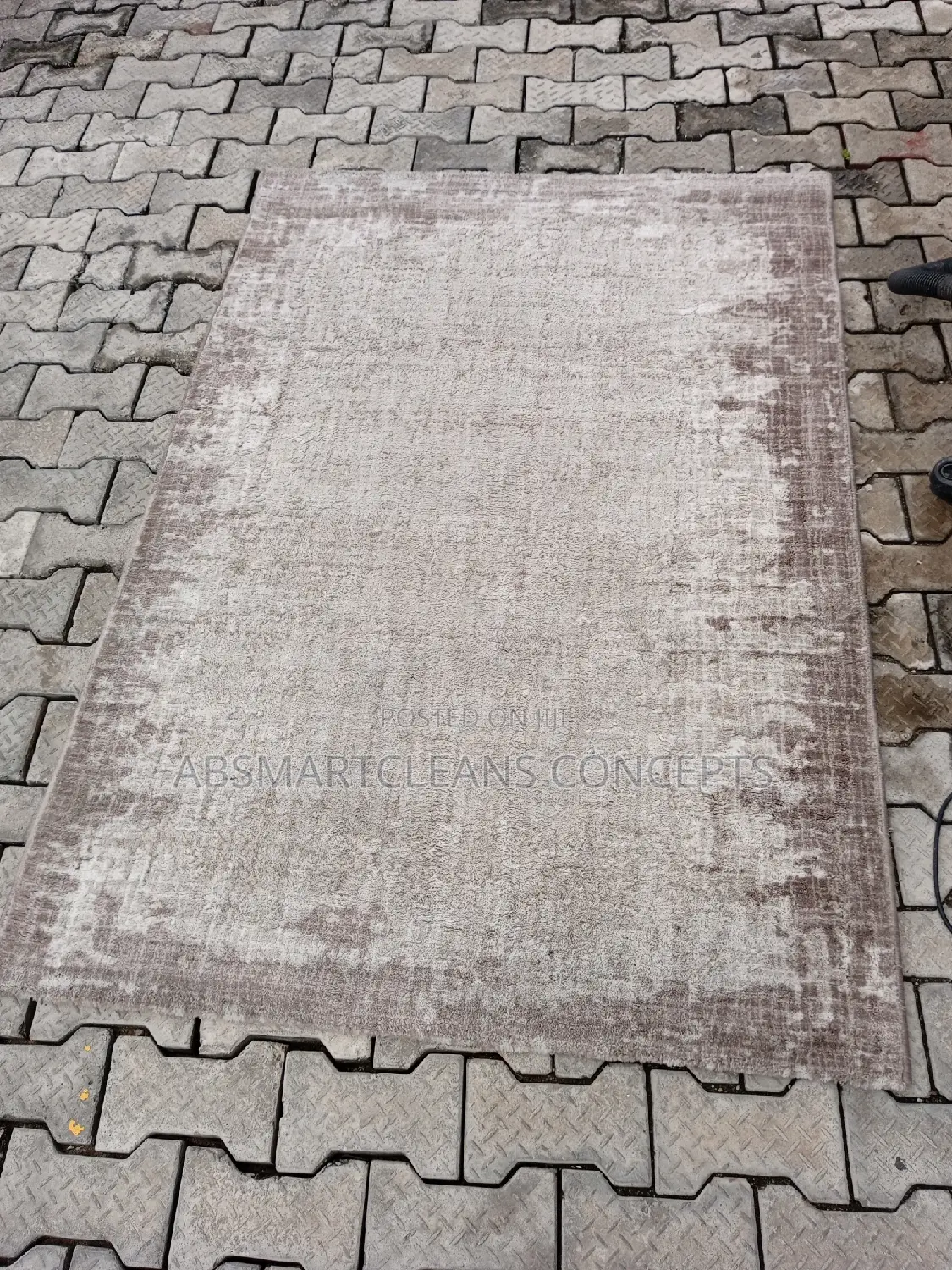 Rug Carpet Cleaning Services