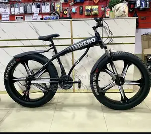 Alloyed Rim Fat Tyre Bicycle