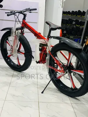 Luxury Benz Alloyed Rim Bicycle