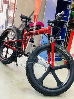 Photo - Original Benz Electric Bicycle
