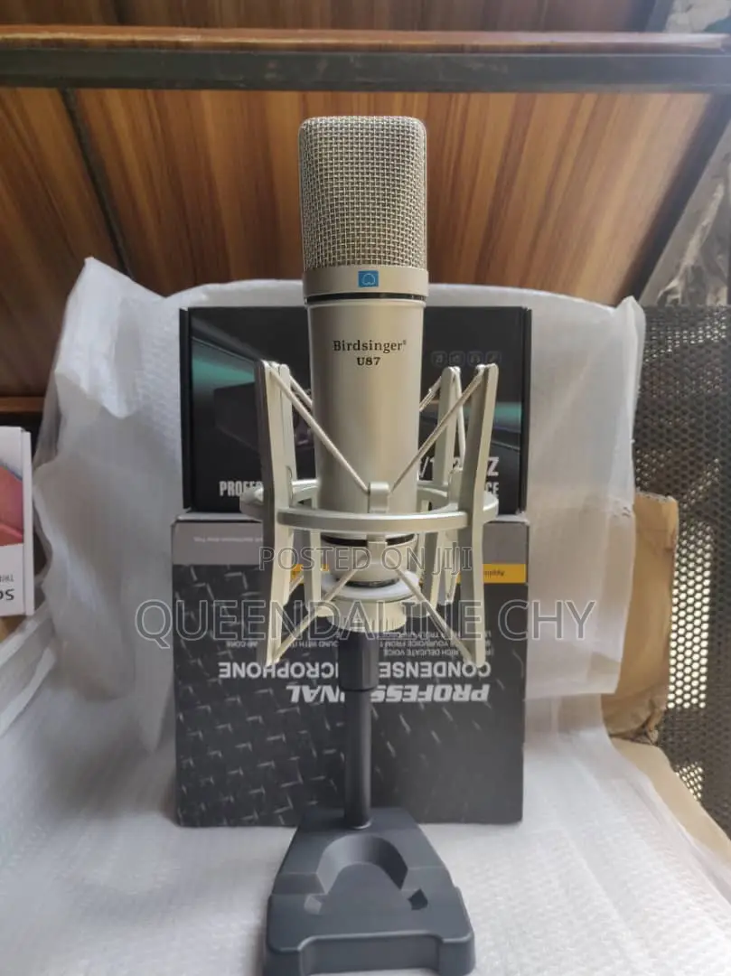U87 Birdsinger Studio Microphone