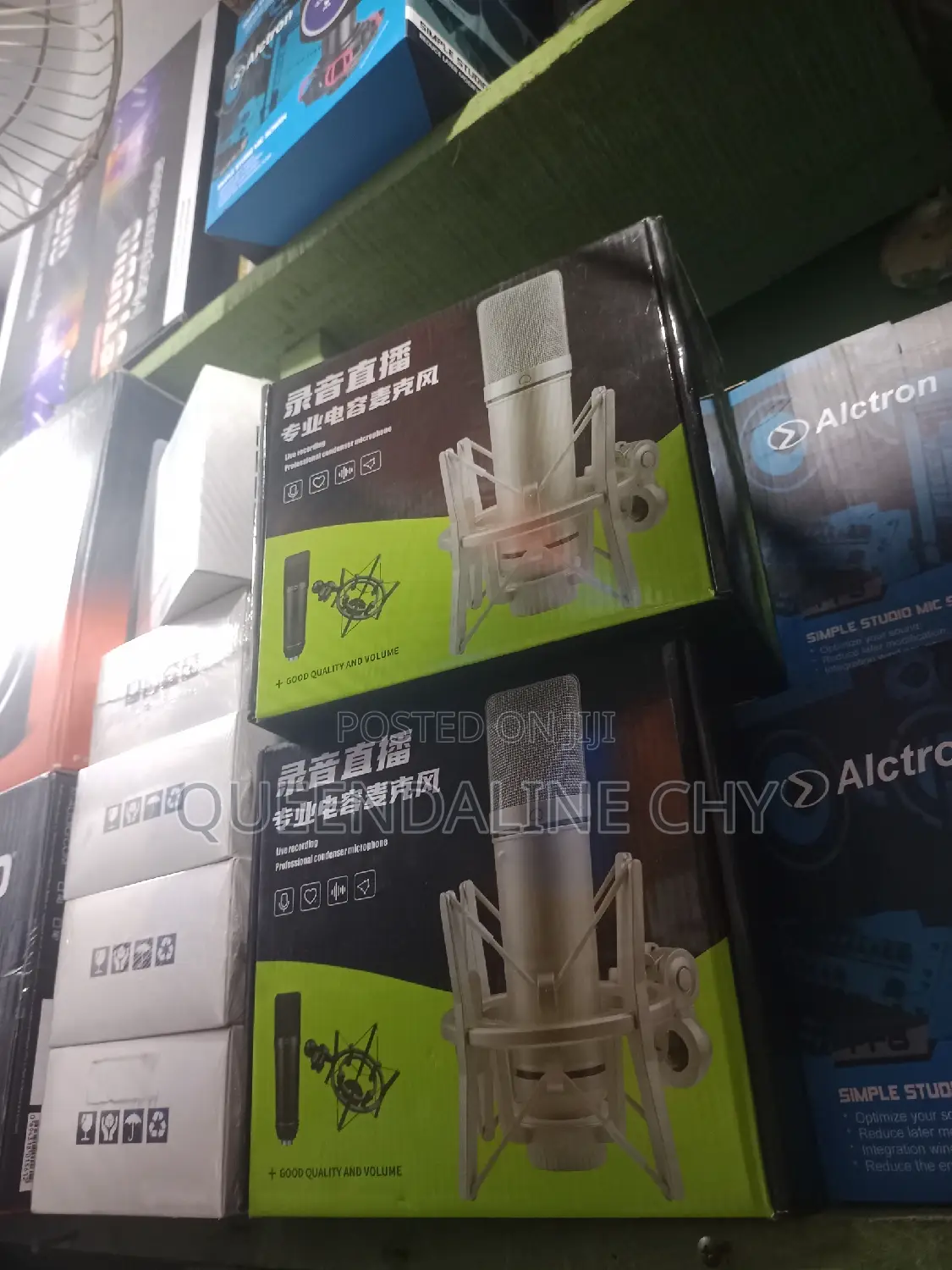 U87 Birdsinger Studio Microphone