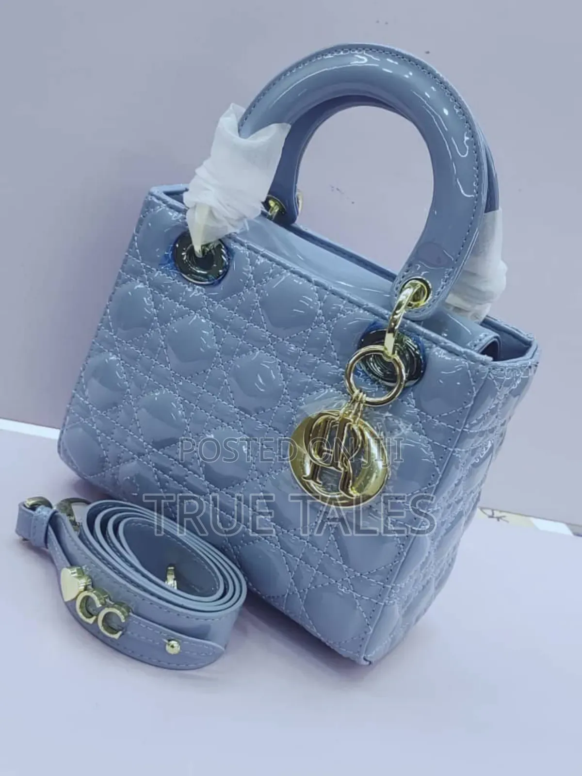 Dior Handbags For Classy Ladies