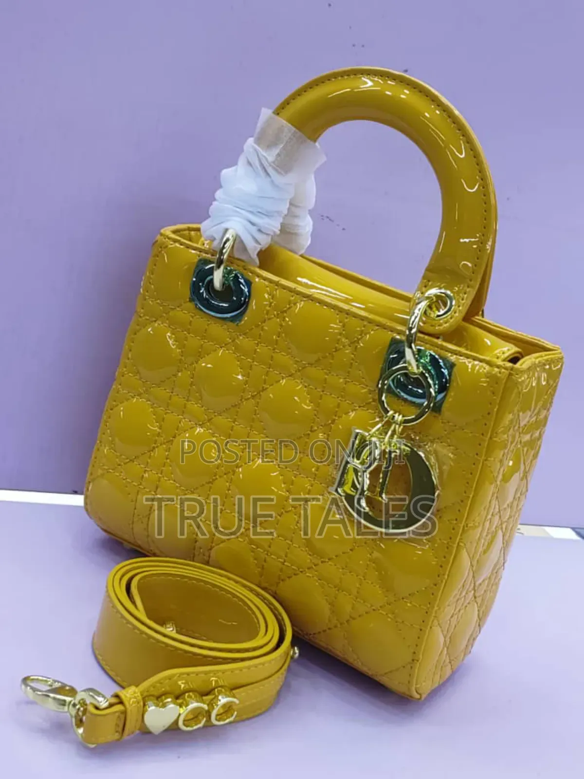 Dior Handbags For Classy Ladies