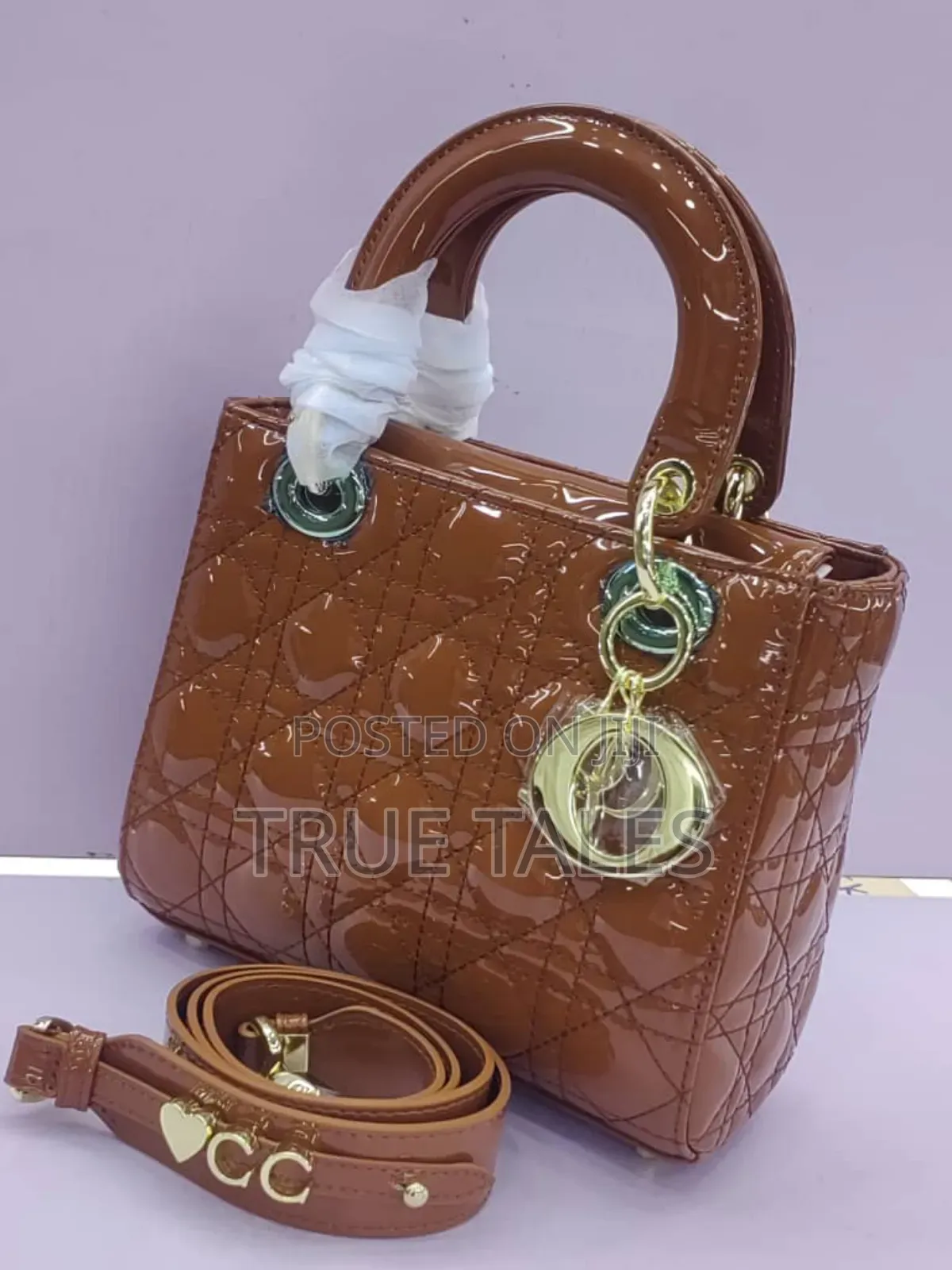 Dior Handbags For Classy Ladies