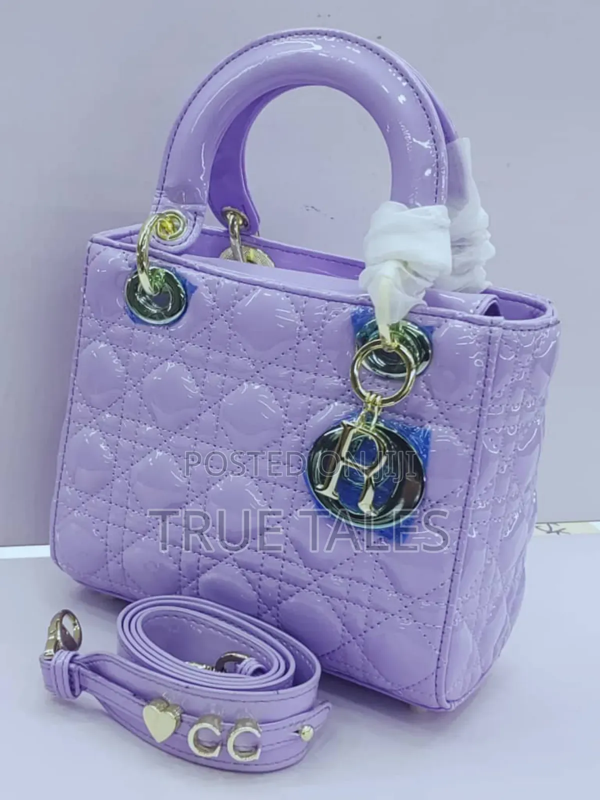 Dior Handbags For Classy Ladies