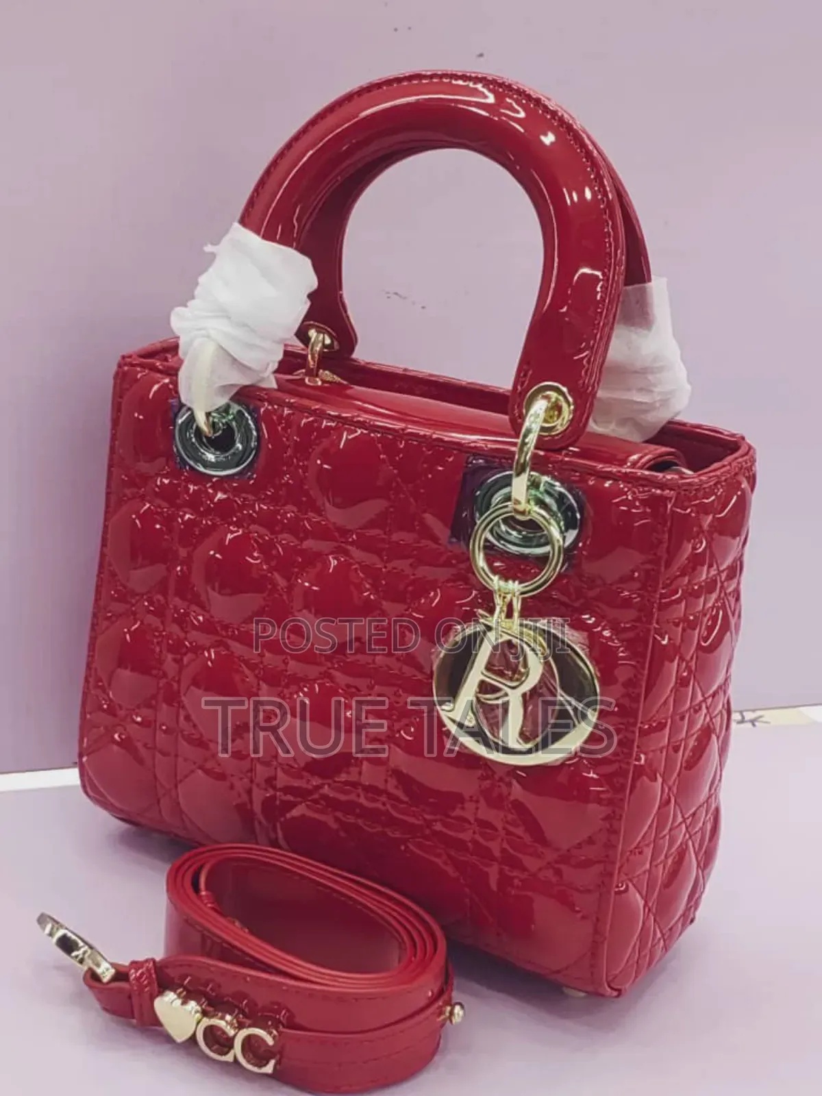 Dior Handbags For Classy Ladies