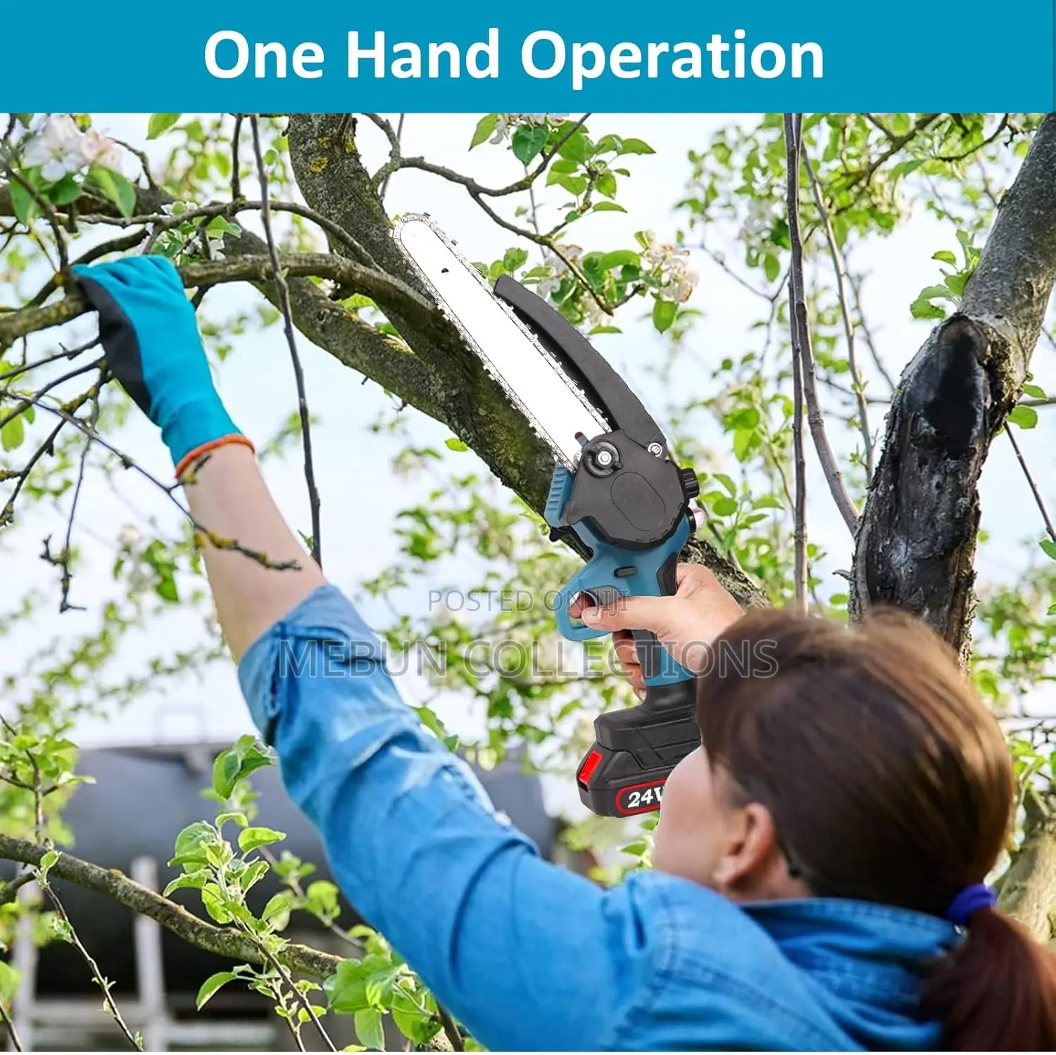 Mini Cordless Chainsaw