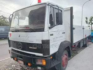 Mercedes Benz 1317 Truck Diesel Engine