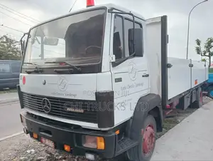 Mercedes Benz 1317 Truck Diesel Engine