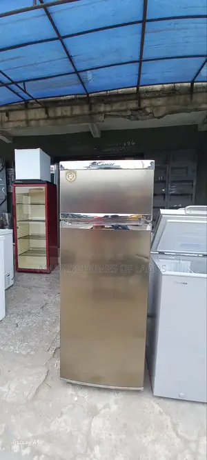 Standing Fridge and Freezer