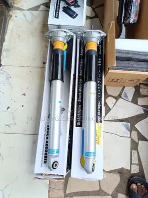 Porsche Panemera Back Shock