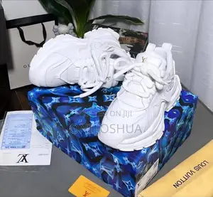 Louis Vuitton Sneakers