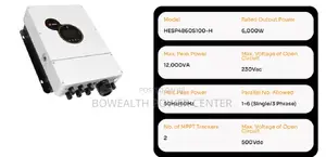 Srne Hesp4860s100-H 6000W Inverter