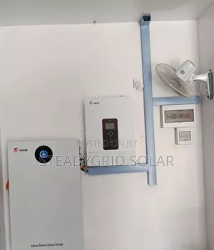 Robust Srnev 5kva/48v/10kwh Solar Powered Inverter System 