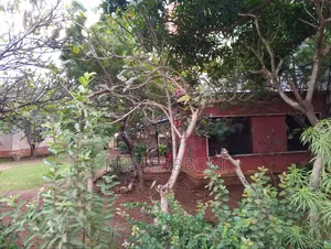 This Is 1200 SQM of Land on the Major Kingsway Road G. R. A