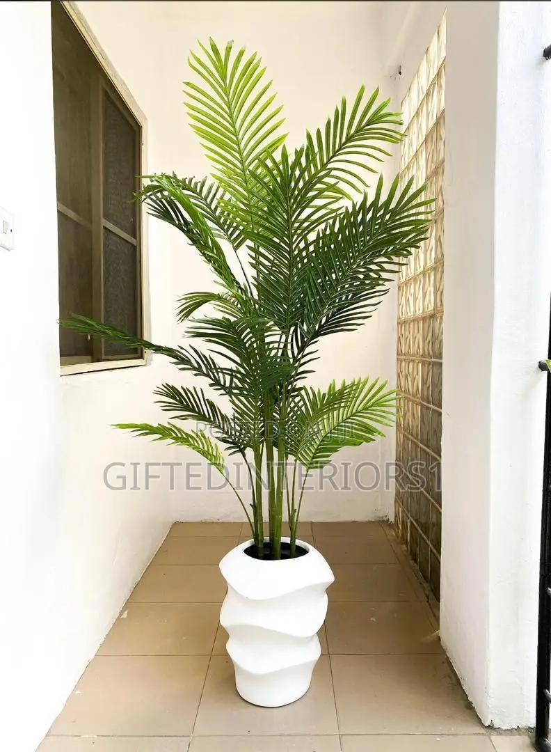 Medium Case With Plant