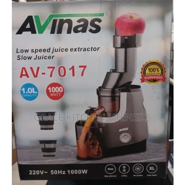 Avinas Cold Pressed Slow Juicer and Sorbets for Iced Fruity