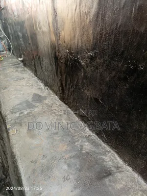 Undaunted Waterproofing Specialist