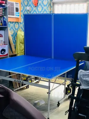 Indoor Foldable Table Tennis Board