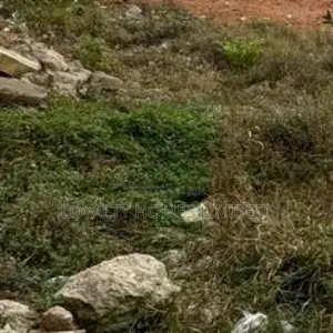 Mixed Used Land Selling Hot