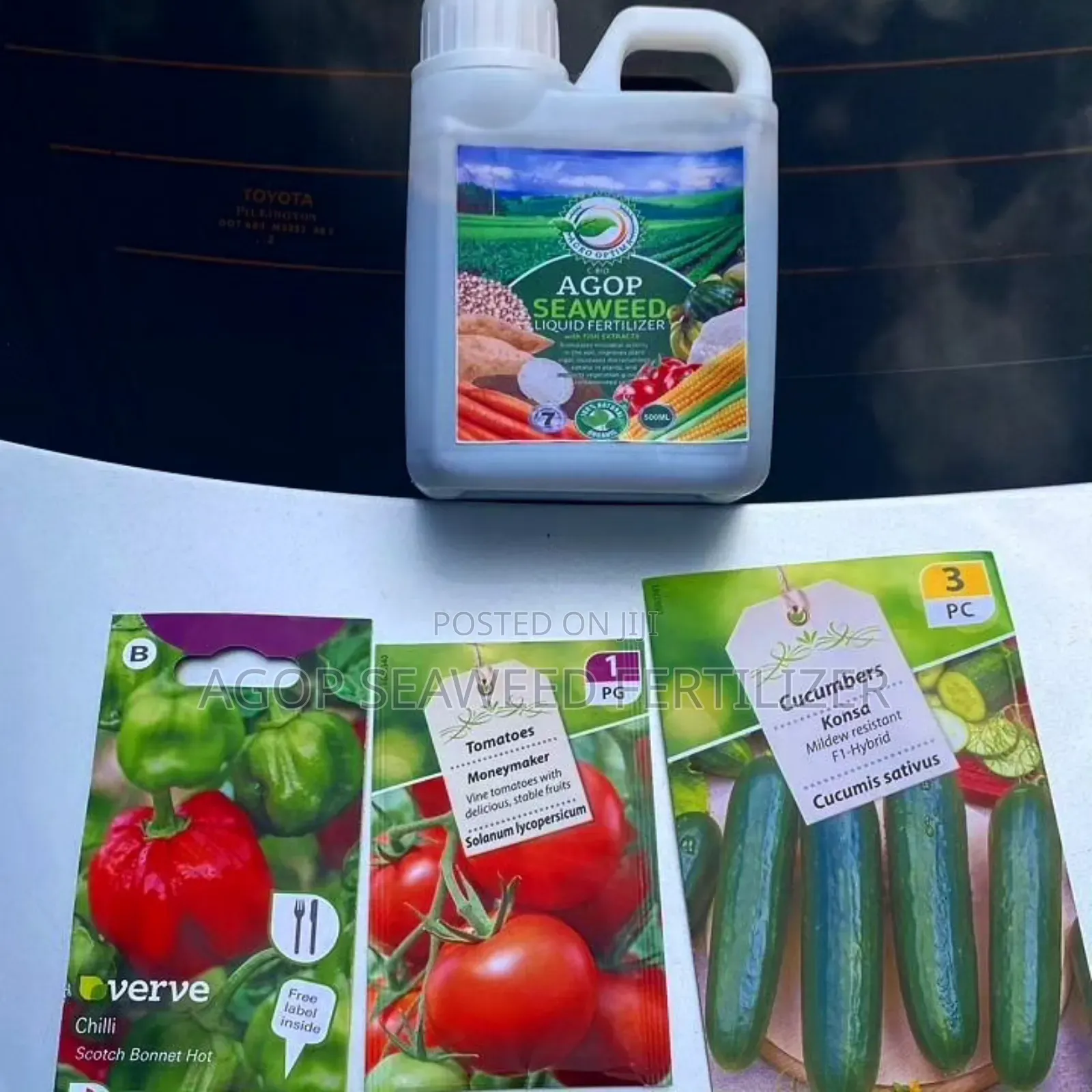 Veggie Seeds