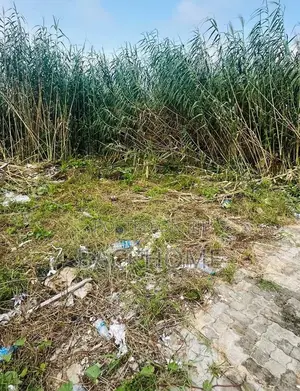 Photo - A 617sqm Waterfront Land at Northern Foreshore Chevron Drive