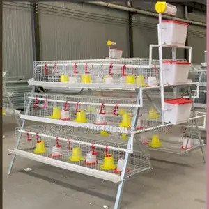 300 Broiler Cage Imported  4 High Roi,We Sell India Drinkers