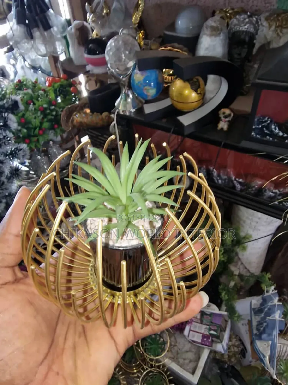 Potted Table Flower