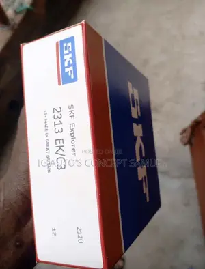 Original SKF Bearing Available 2313ek/C3