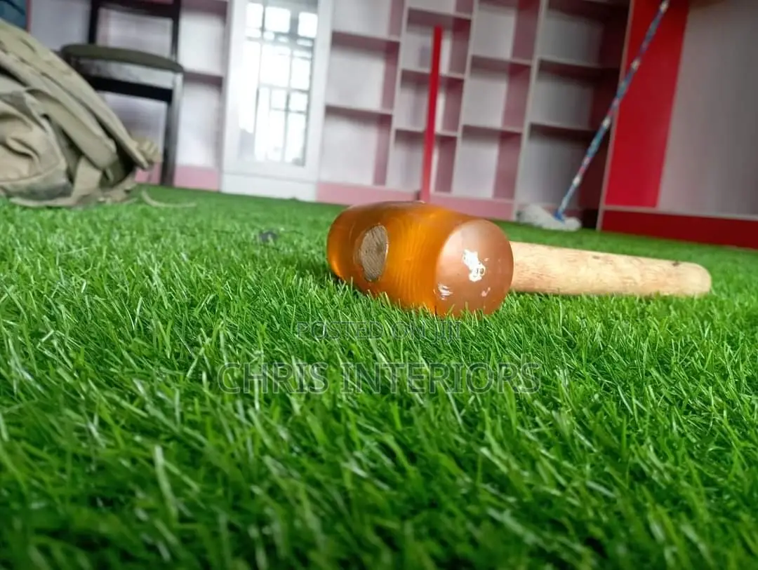 Carpet Grass Home