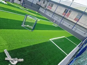 50mm Football  Grass