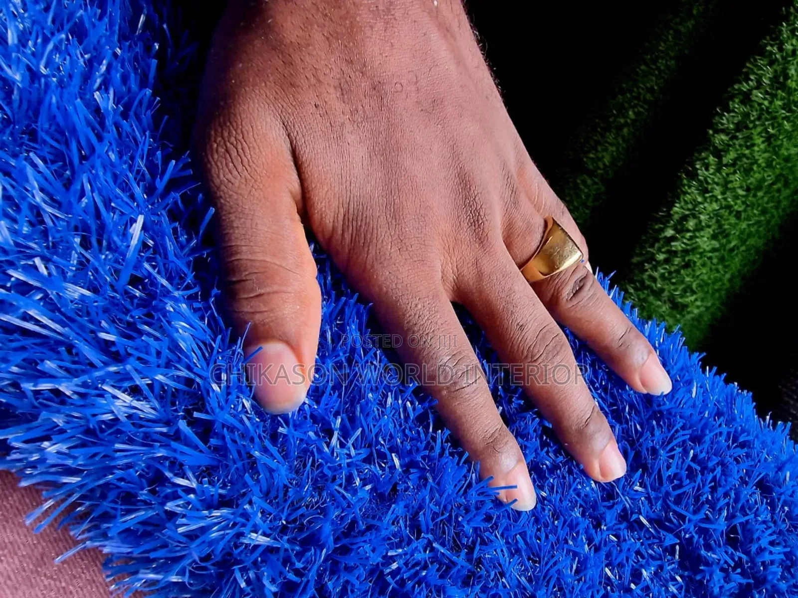 High Quality Blue Grass