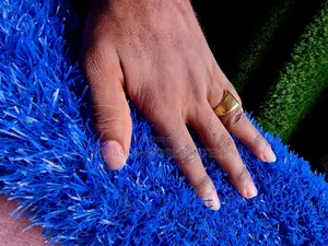 High Quality Blue Grass
