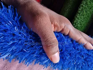 High Quality Blue Grass