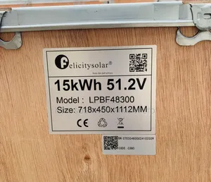 Felicity Original 15kwh 51.2v Lithium Battery