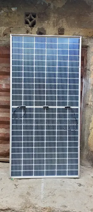 700watts 144cell Jinko Solar Bificial Panel Much Available