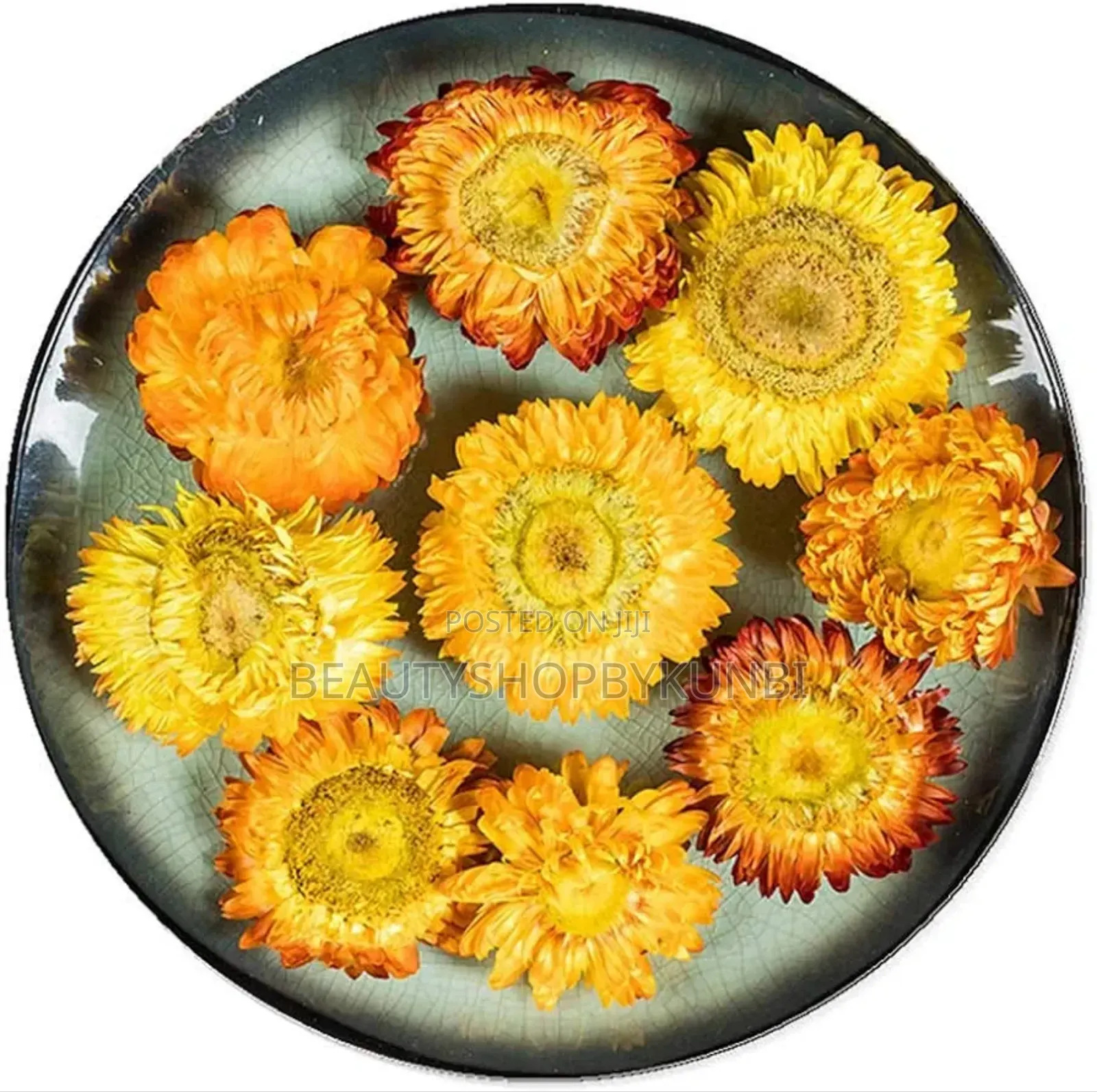 Dried Flower Box for Resin Crafts