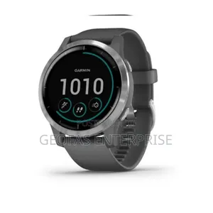 Garmin Vivoactive 4 Shadow Grey With Silver Hardware