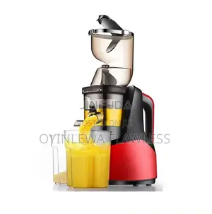 Professional Electric Big Mouth Cold Press Slow Juicer