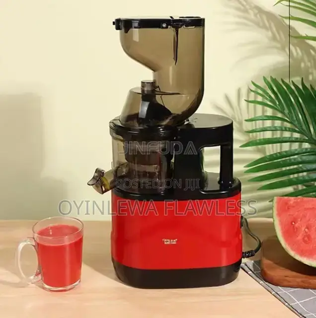 Professional Electric Big Mouth Cold Press Slow Juicer