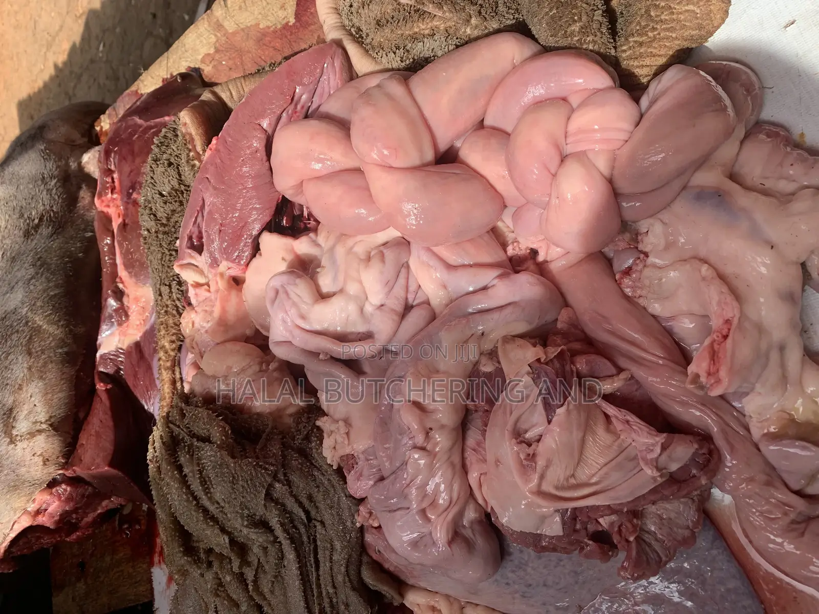 Cow Meats / Beef