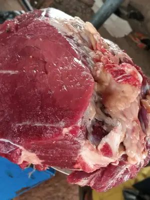 Cow Meats / Beef