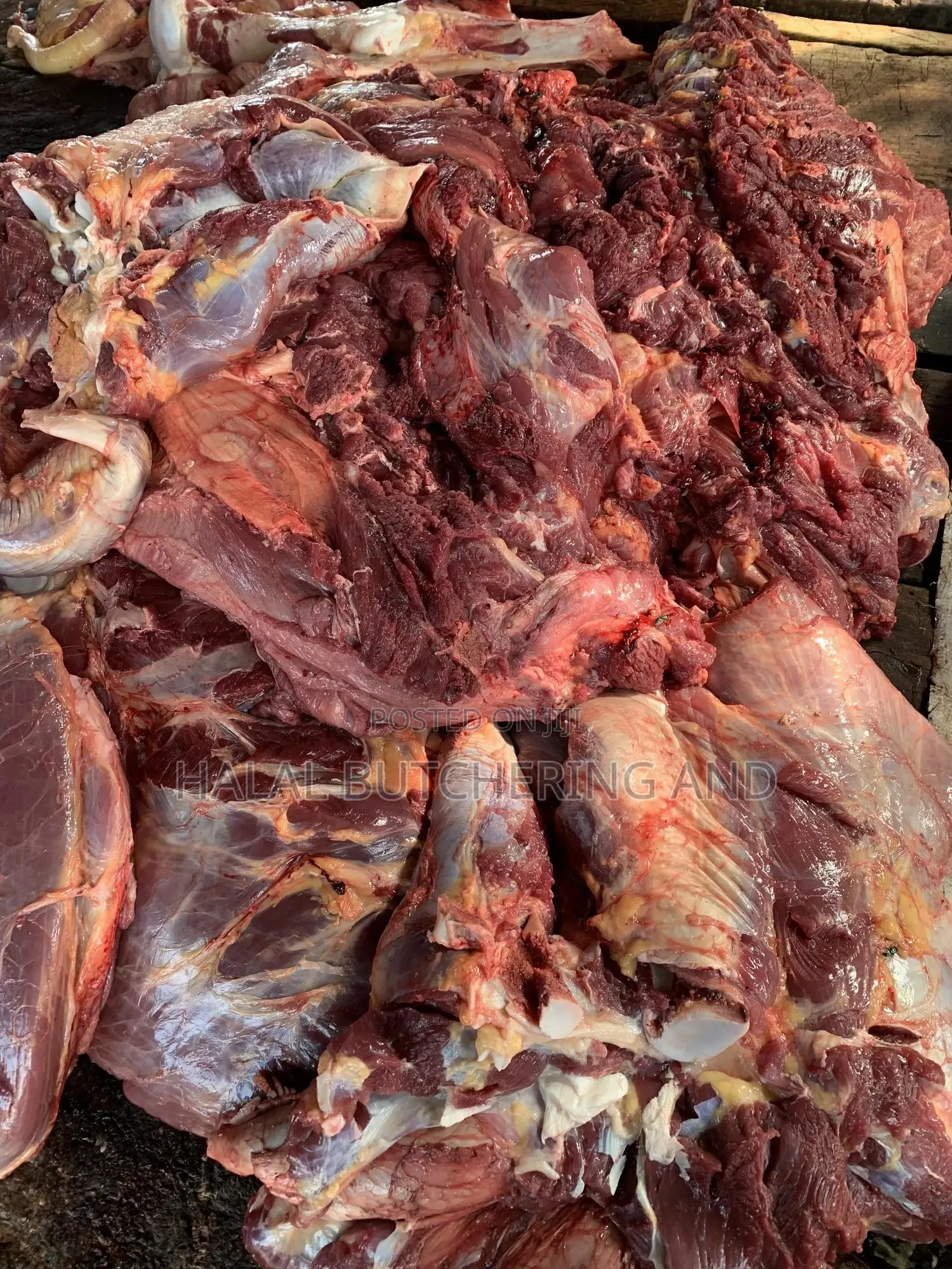 Cow Meats / Beef