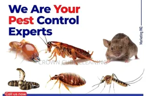 Fumigation Services, Quality Fumigation Services