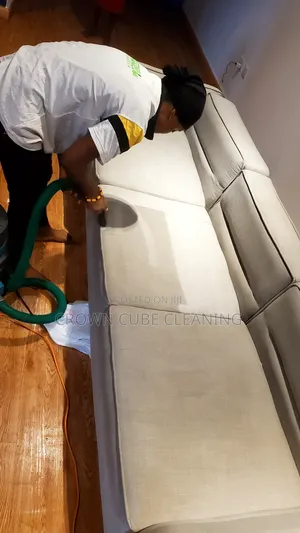 Home Couch Cleaning Services