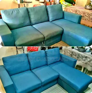 Home Couch Cleaning Services